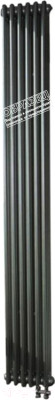 Радиатор стальной Arbonia 2180/5 89 SF NIC C 006 - фото 2 - id-p225258116