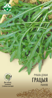 Семена Руккола Грация (0.2 гр) Эксперт МССО - фото 1 - id-p225265869