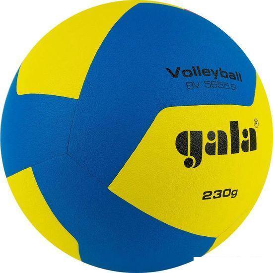 Волейбольный мяч Gala Training 230 12 BV 5655 S (размер 5, синий/желтый/красный) - фото 3 - id-p225218635