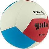 Волейбольный мяч Gala Training Heavy 12 BV 5475 S (размер 5, белый/синий), фото 2