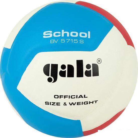 Волейбольный мяч Gala School 12 BV 5715 S (размер 5, белый/красный/голубой) - фото 1 - id-p225218639