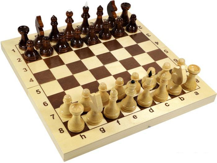 Шахматы Десятое королевство 02845 - фото 1 - id-p225064532