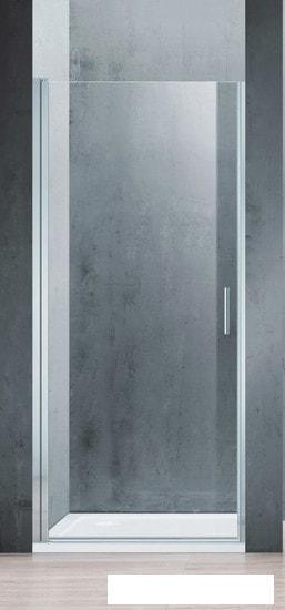 Душевая дверь Adema Nap-70 (прозрачное стекло) - фото 1 - id-p224850819