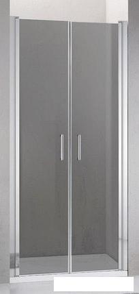 Душевая дверь Adema Nap Duo-90 (тонированное стекло), фото 2