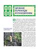 Скандинавская мифология. Миры, боги, великаны и герои. Иллюстрированный путеводитель, фото 2