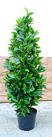 Искусственное растение ForGarden Дерево Bay Leaf Tower / FGN BF01696