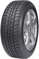 Зимняя шина Evergreen EW62 195/50R15 86H