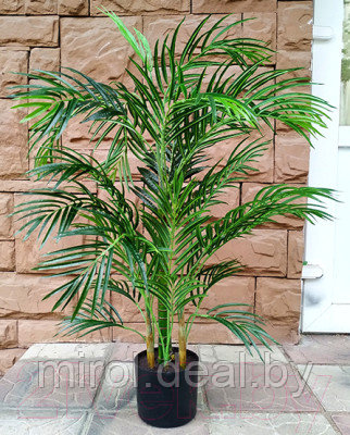 Искусственное растение ForGarden Дерево Areca Palm / FGN BF01702 - фото 1 - id-p225331882