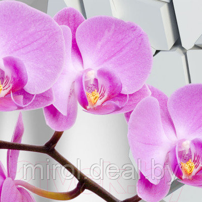 Фотообои листовые Citydecor Орхидея 3D - фото 2 - id-p225333344
