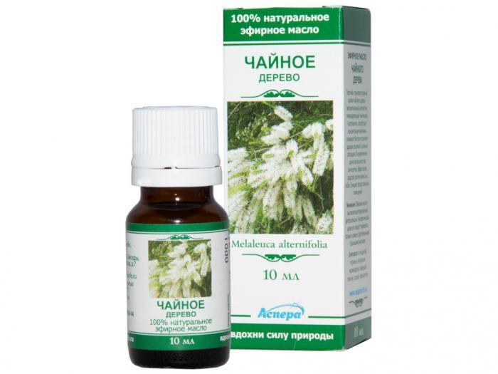 Масло эфирное Аспера Чайное дерево 10ml ПК2301А053