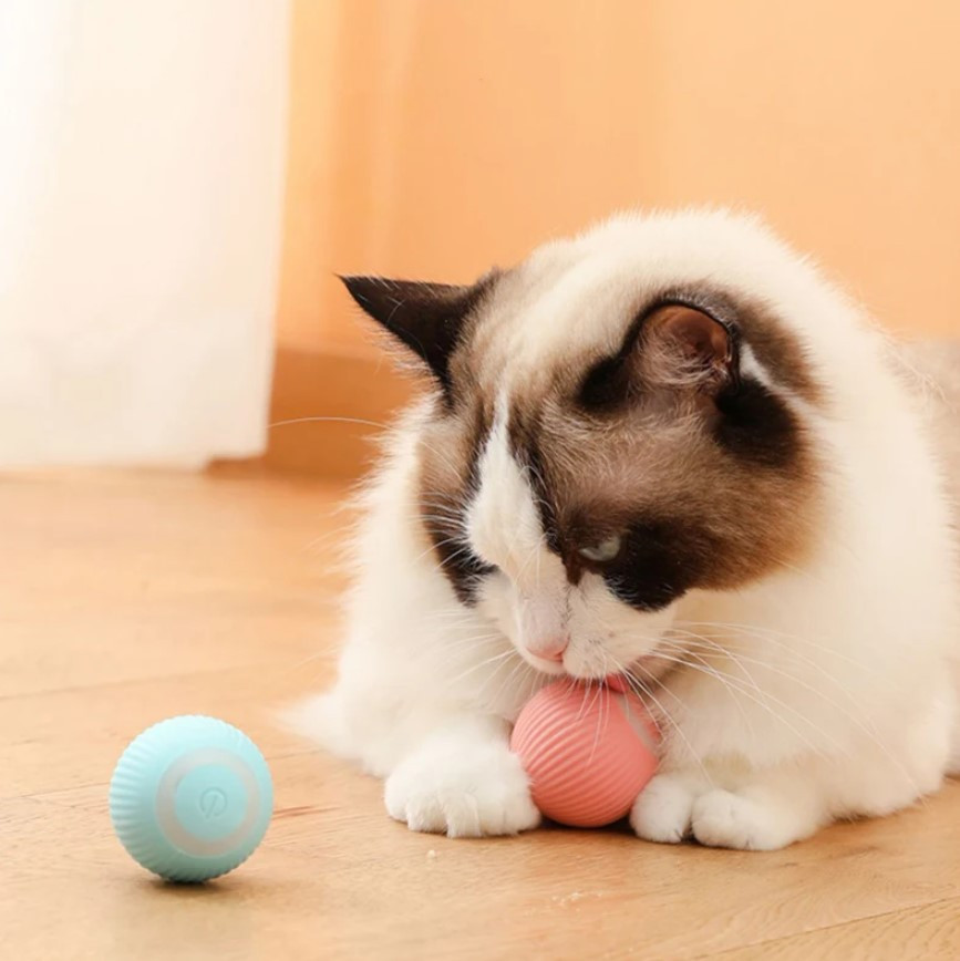 Интерактивный мяч для кошек и собак. Мячик дразнилка интерактивная. Цвет Розовый - фото 4 - id-p225353239