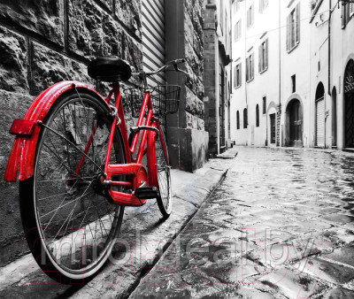 Фотообои листовые Citydecor Красный велосипед - фото 1 - id-p225369015