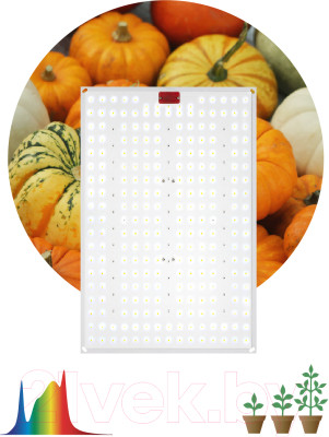 Светильник для растений ЭРА Fito-160W-LED-QB Quantum Board / Б0057283 - фото 8 - id-p225375228