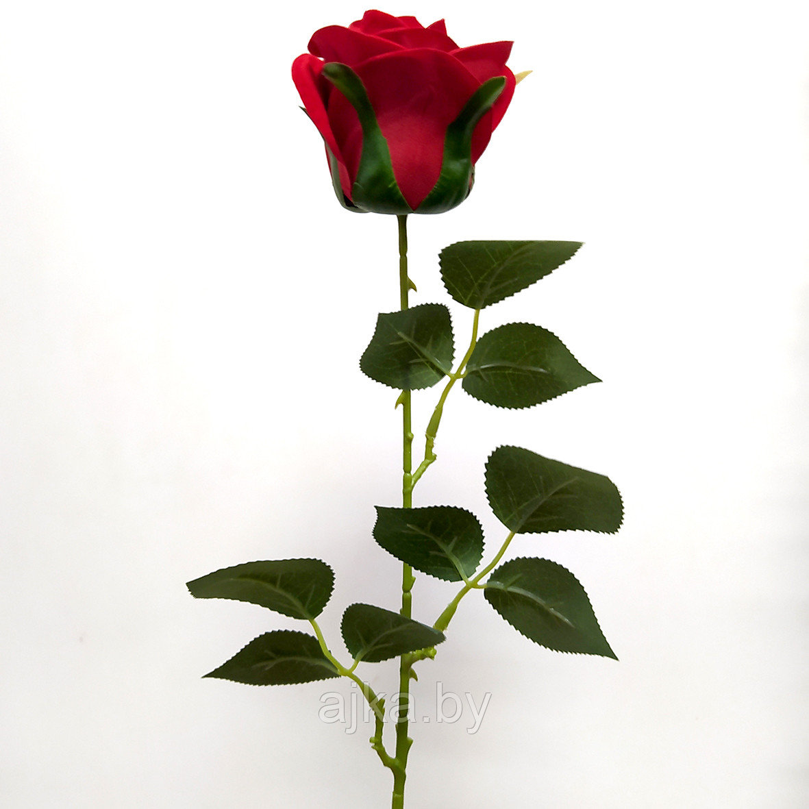Роза полураскрытая 72 см, красный