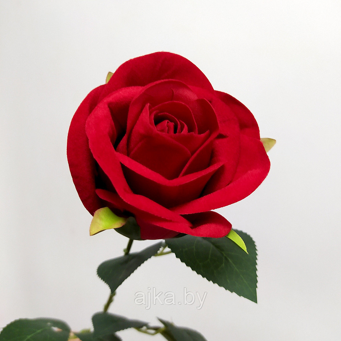 Роза полураскрытая 72 см, красный - фото 3 - id-p225399425