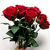 Роза полураскрытая 72 см, красный, фото 7