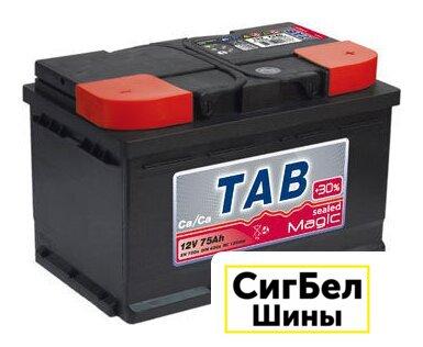 Автомобильный аккумулятор TAB Magic 189072 (75 А/ч) - фото 1 - id-p225407697