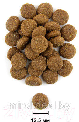 Полувлажный корм для собак Chicopee CNL Soft Adult Salmon & Rice - фото 3 - id-p225420274