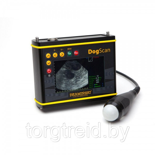 УЗИ сканер DRAMINSKI DogScan - фото 1 - id-p225424302