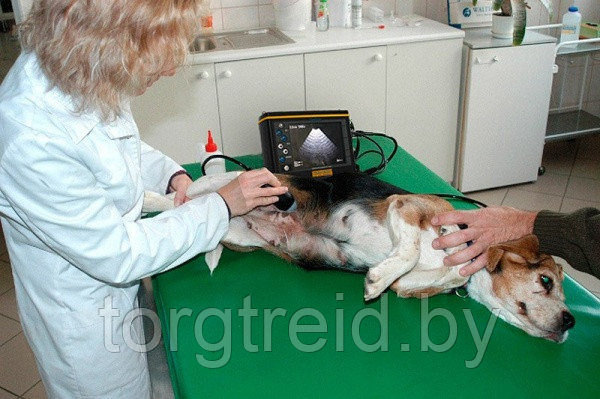 УЗИ сканер DRAMINSKI DogScan - фото 4 - id-p225424302