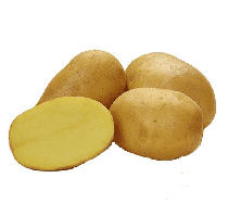 Картофель семенной Лисана РБ 1репродукция