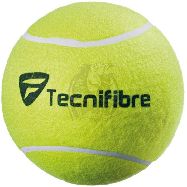 Мяч теннисный сувенирный Tecnifibre Jumbo 24 см (арт. 55TFGBJAUN) - фото 1 - id-p225430616