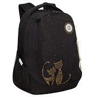 Рюкзак молодёжный 40 х 29 х 20 см, Grizzly, эргономичная спинка, отделение для ноутбука, чёрный