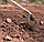 Плоскорез "Стриж" средний Судогодский 110, фото 3