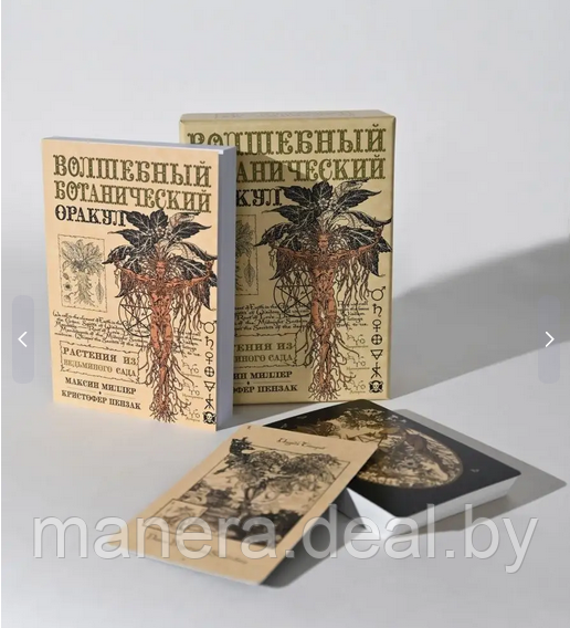 Волшебный Ботанический Оракул, 36 карт, инструкция - фото 1 - id-p139422870