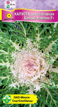 Семена Капуста декоративная Белый павлин F1 (7 шт) МССО - фото 1 - id-p225459618