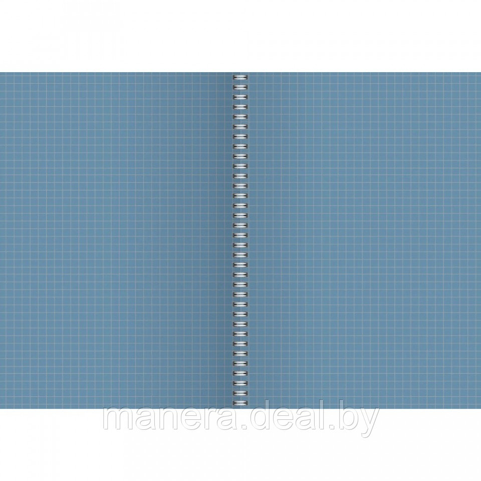 Тетрадь Smart paper А4, 80 л, клетка, синий - фото 2 - id-p61423286