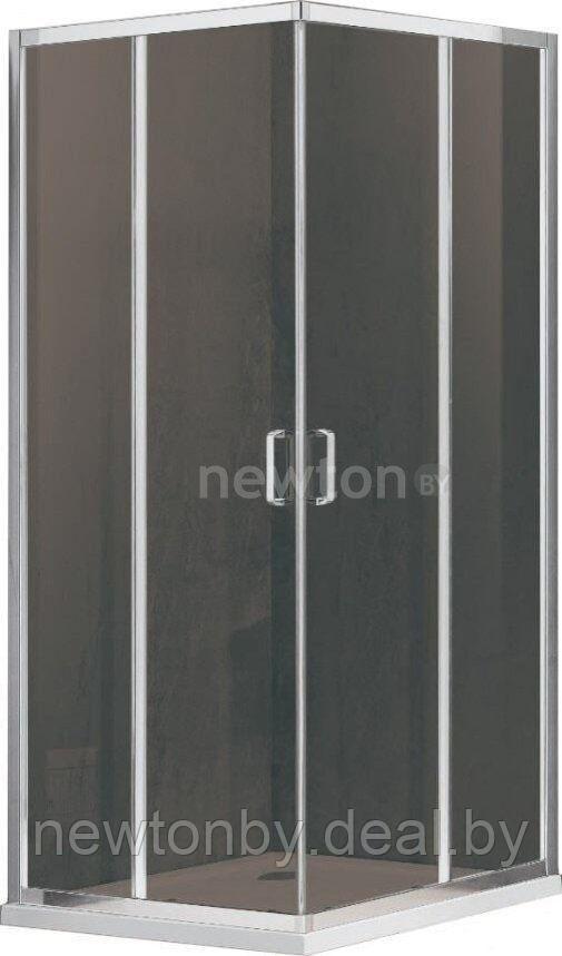 Душевой уголок Adema Glass Line Vierkant-100 (тонированное стекло) - фото 1 - id-p225461494