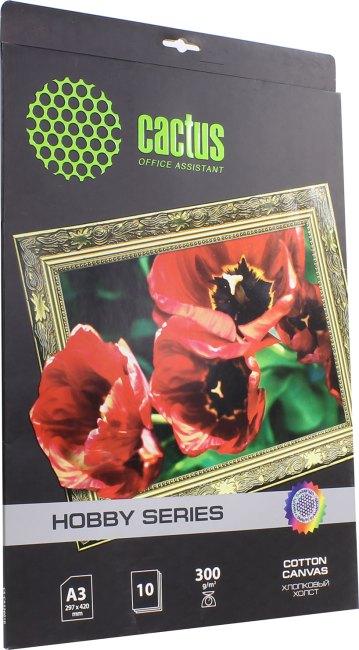 Cactus CS-CA326010 (A3 10 листов 300 г/м2) арт бумага хлопковый холст - фото 1 - id-p225463004