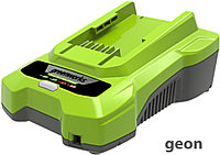 Зарядное устройство Greenworks G24C4 (24В)