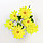 Букет ритуальный Ромашка садовая цвет ассорти, фото 3