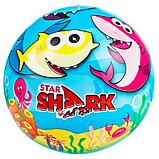 Мяч с рисунком д23 см, фото 2