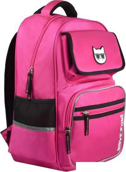 Школьный рюкзак Феникс+ Кот в очках 59256 (розовый) - фото 1 - id-p225366227