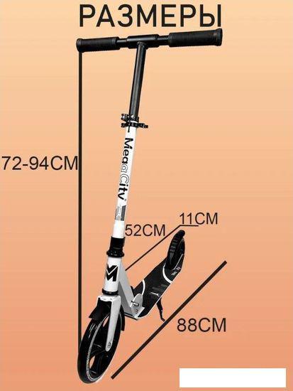 Двухколесный подростковый самокат Megacity Paris 2K-21 - фото 8 - id-p225064435