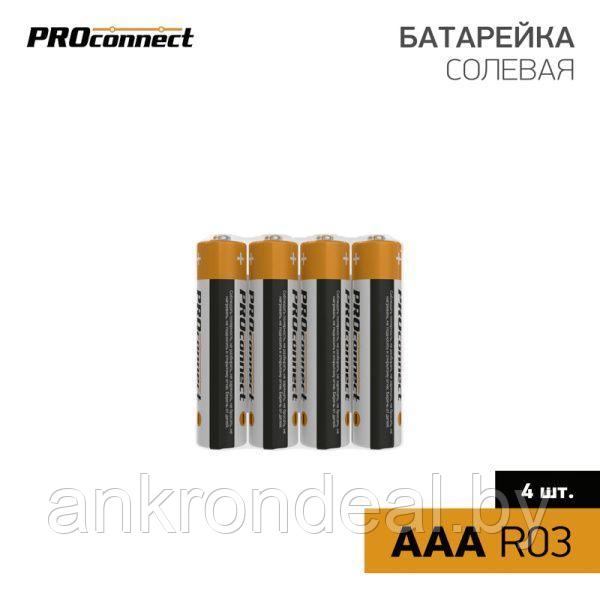 Батарейка солевая ААA/R03, 1,5В, 4 шт, термопленка PROconnect - фото 1 - id-p225481501