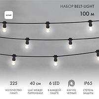 Набор ЕВРО Belt-Light 2 жилы, 100м, шаг 40см, 225 LED ламп, цвет свечения белый, 45мм (6 LED) NEON-NIGHT