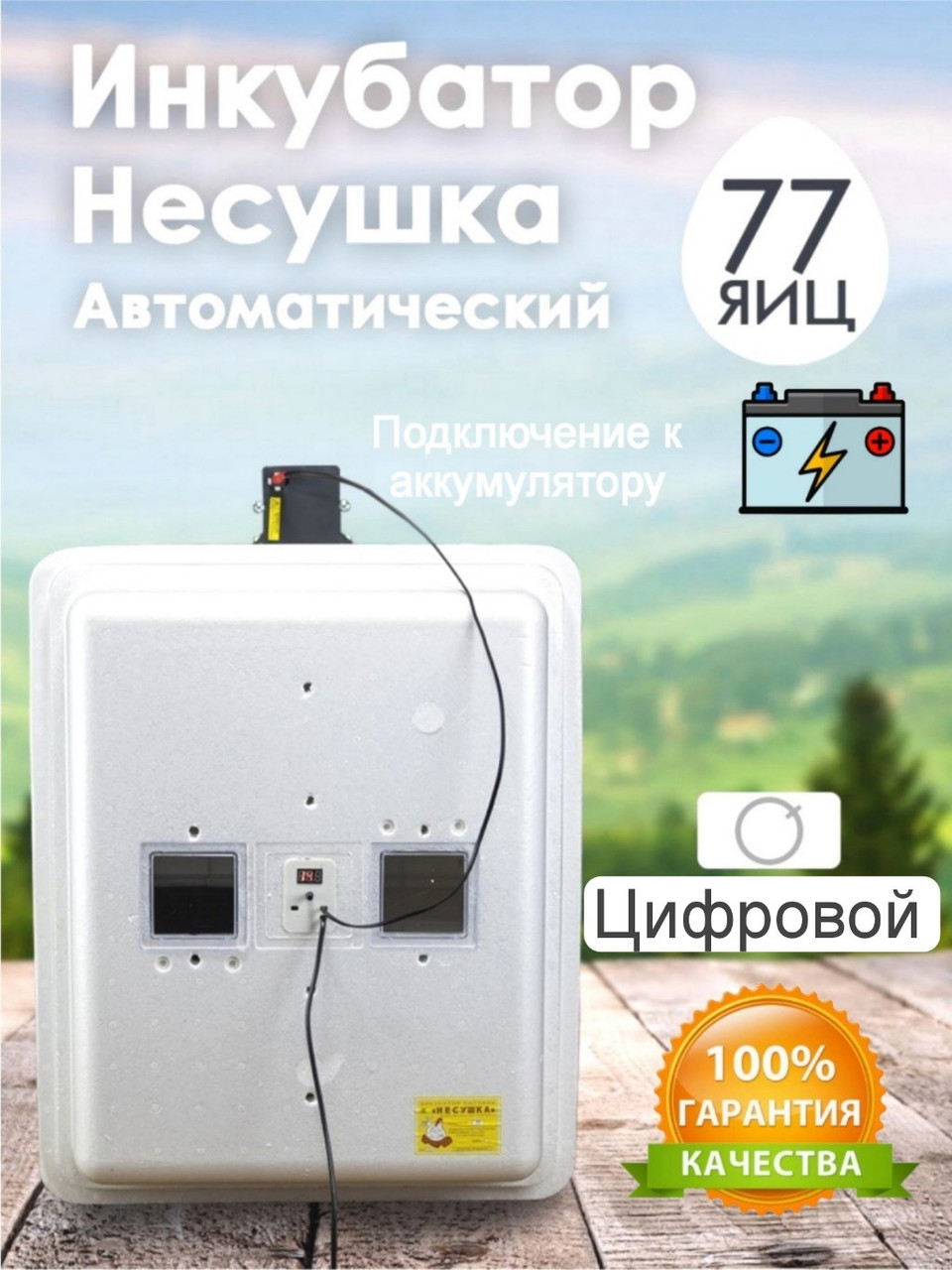 Инкубатор Несушка-77-ЭА+12В н/н 63