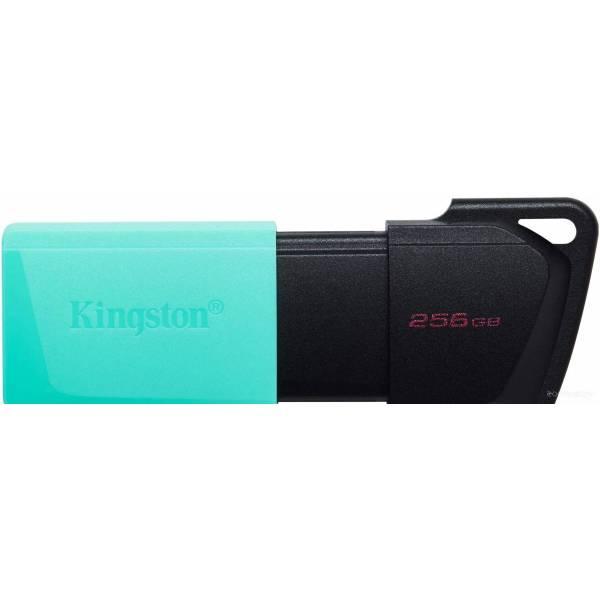 USB Flash Kingston DataTraveler Exodia M 256GB (DTXM/256GB) - фото 1 - id-p225486154