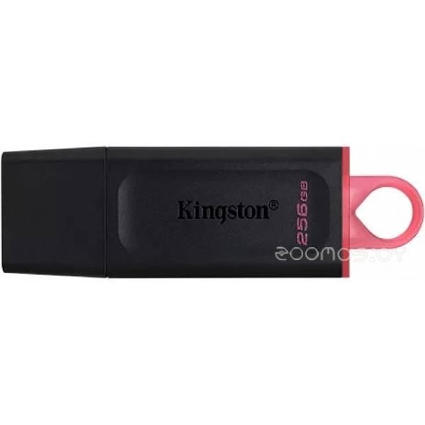 USB Flash Kingston Exodia 256GB - фото 1 - id-p225486156