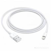 Кабель Apple USB - Lightning (MXLY2ZM/A) 1 м