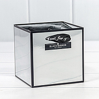 Коробка-пакет Black Mirror с ручками, 12*12*12 см, серебряный