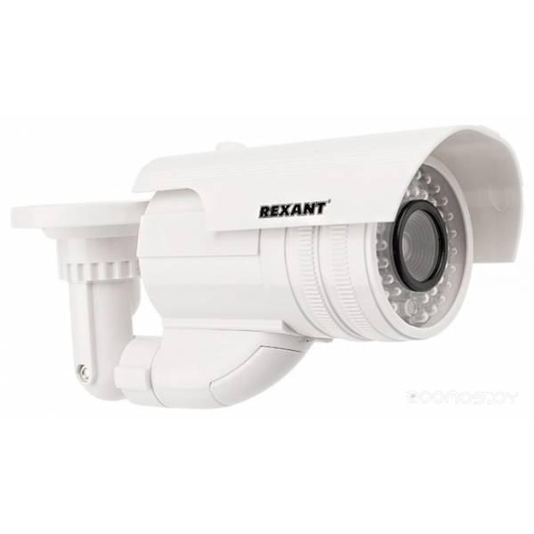 IP-камера Rexant 45-0240 483317 - фото 2 - id-p225488552