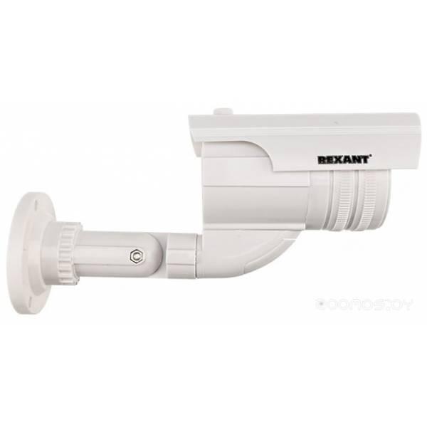 IP-камера Rexant 45-0240 483317 - фото 3 - id-p225488552