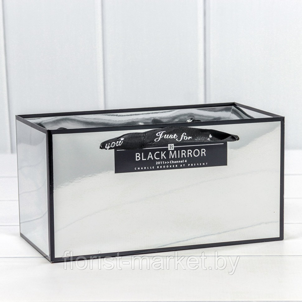 Коробка-пакет Black Mirror с ручками, 23*12*12 см, серебряный