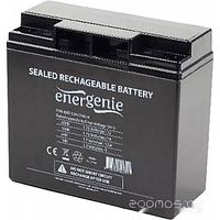 Аккумулятор для ИБП EnerGenie BAT-12V17AH/4