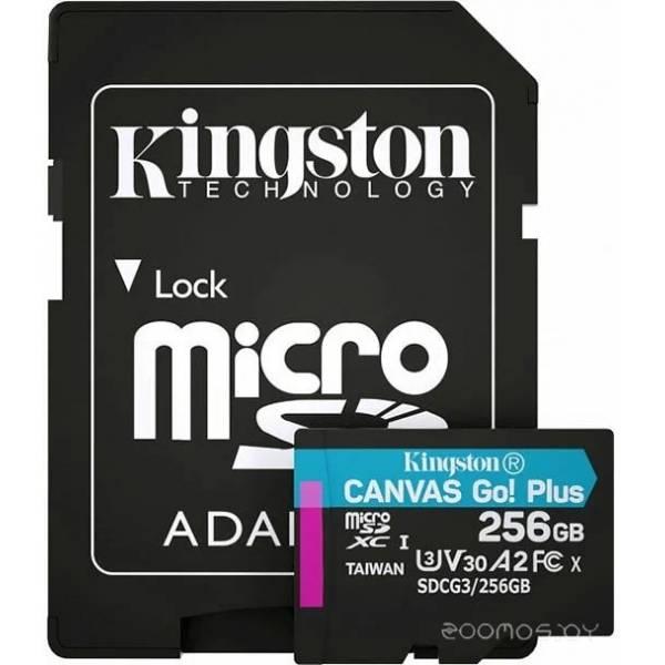 Карта памяти Kingston Canvas Go! Plus microSDXC 256GB (с адаптером) (SDCG3/256GBSP) - фото 1 - id-p225491884